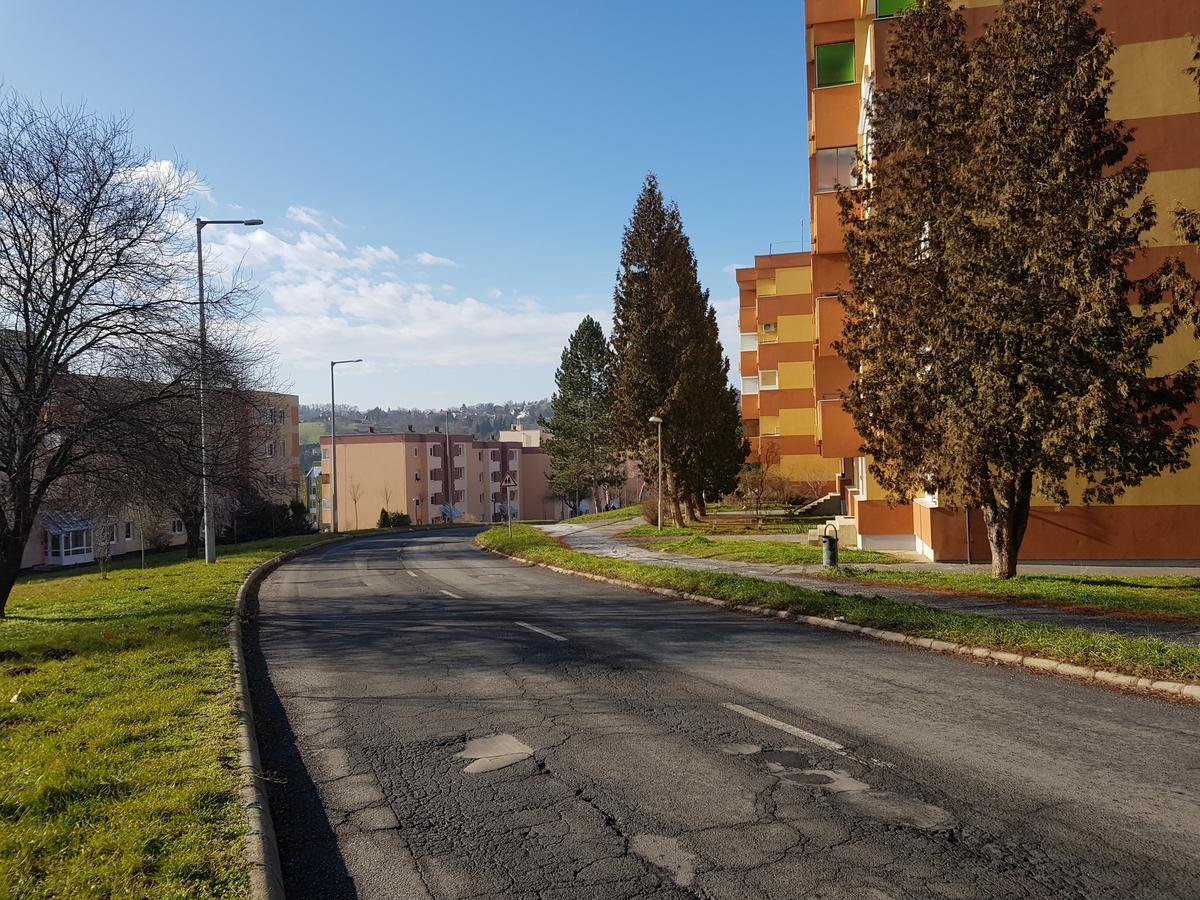 Hegyalja Apartman ザラエゲルセグ エクステリア 写真