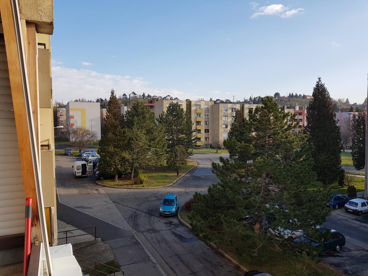 Hegyalja Apartman ザラエゲルセグ エクステリア 写真